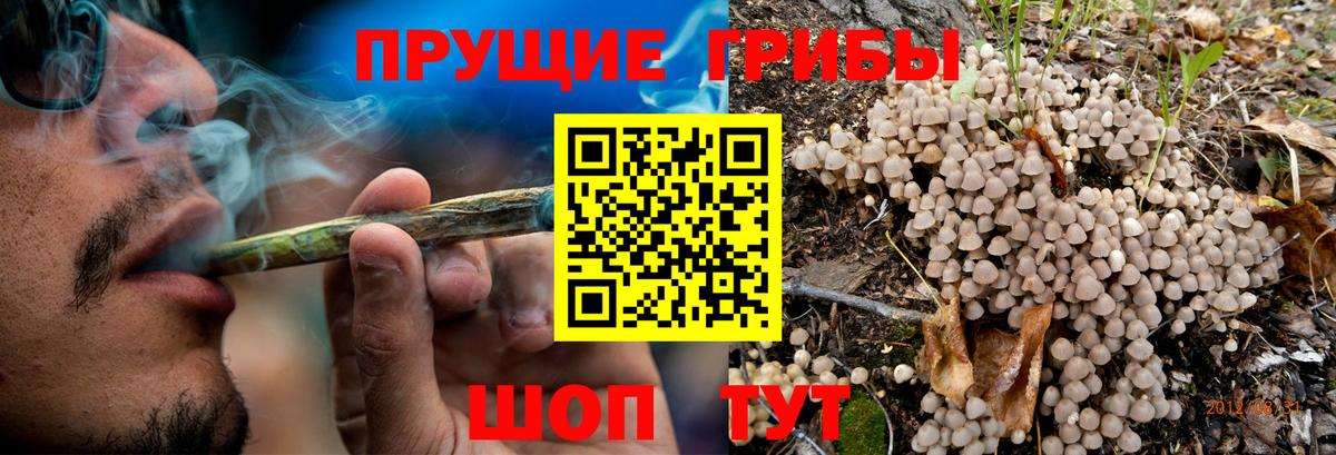 Галлюциногенные грибы мицелий  купить наркотик  Псилоцибиновые грибы мухоморы  Луховицы  Вход с VPN 